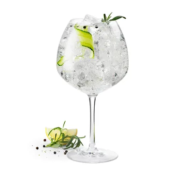 Bicchiere da gin Premium 93 cl confezione da 2 - Trasparente - Rosendahl