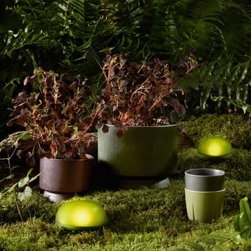 Lampada LED Soft Spot 9 cm - Verde oliva - Rosendahl