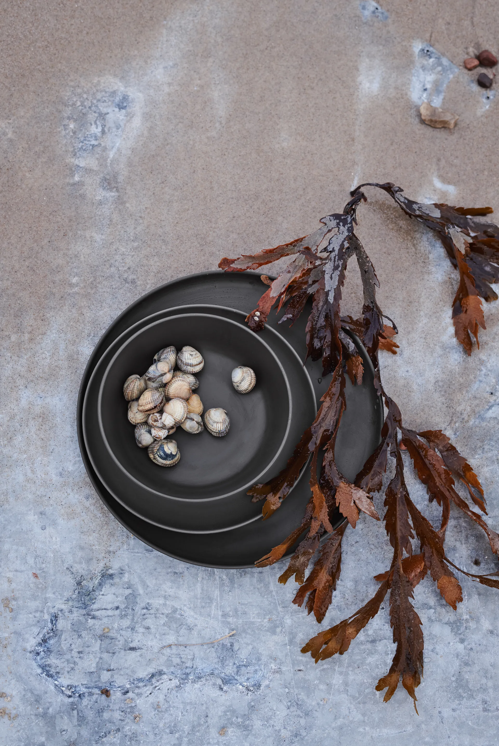 Piatto piano in melammina Grand Cru Take Ø 26 cm, confezione da 2, Grigio Rosendahl