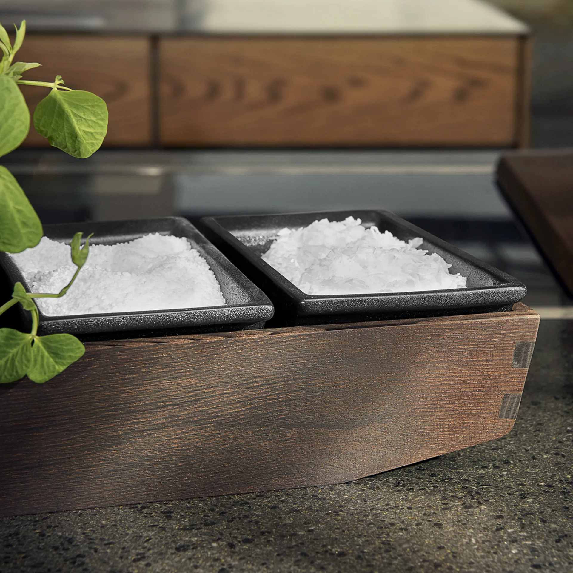 Saliera Rå 6,5 cm, nero  Rosendahl