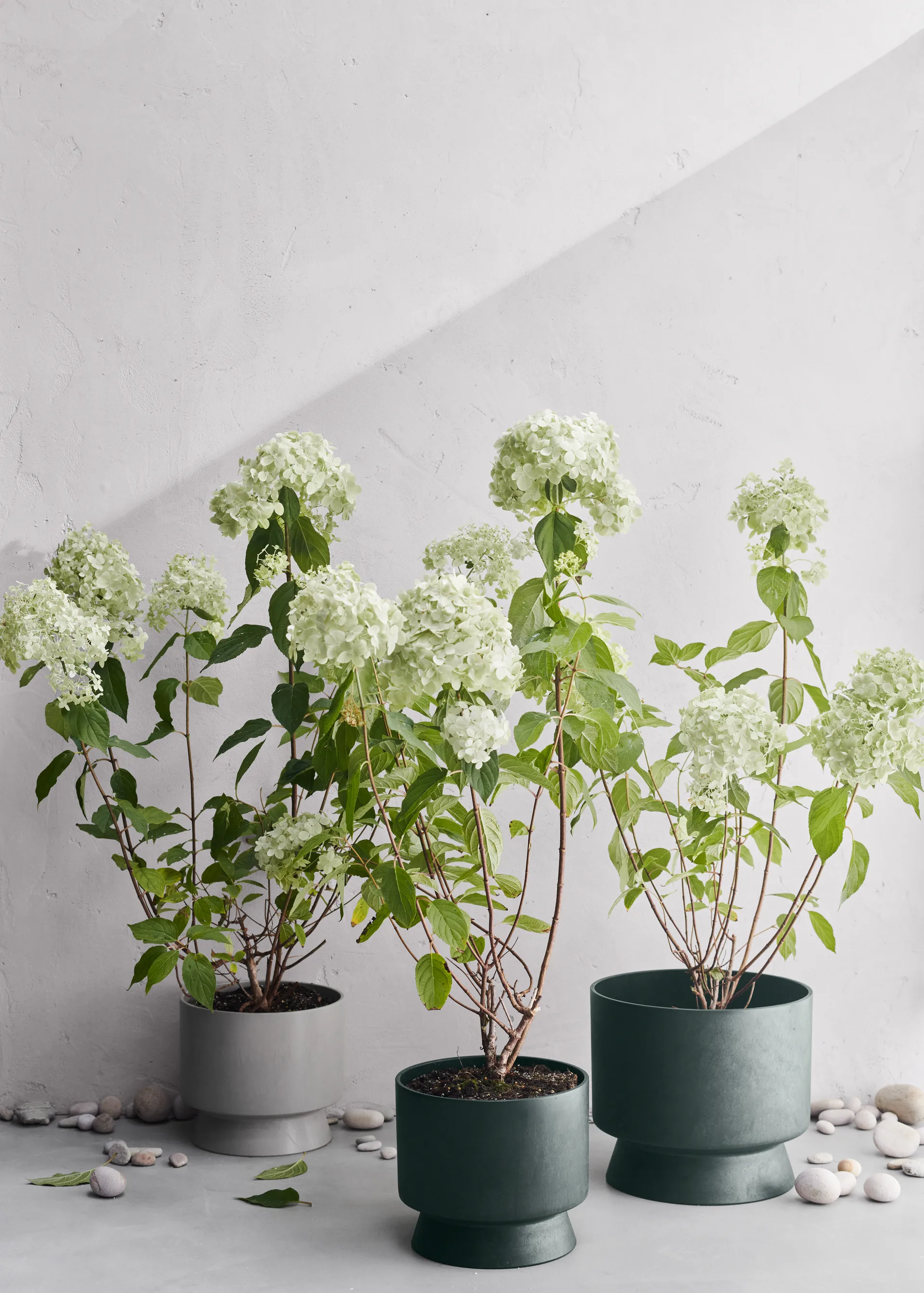 Vaso da fiori Ro Ø 30 cm, Verde scuro Rosendahl
