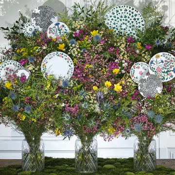 Piatto Magic Garden Foliage 21 cm - bianco-verde - Rosenthal