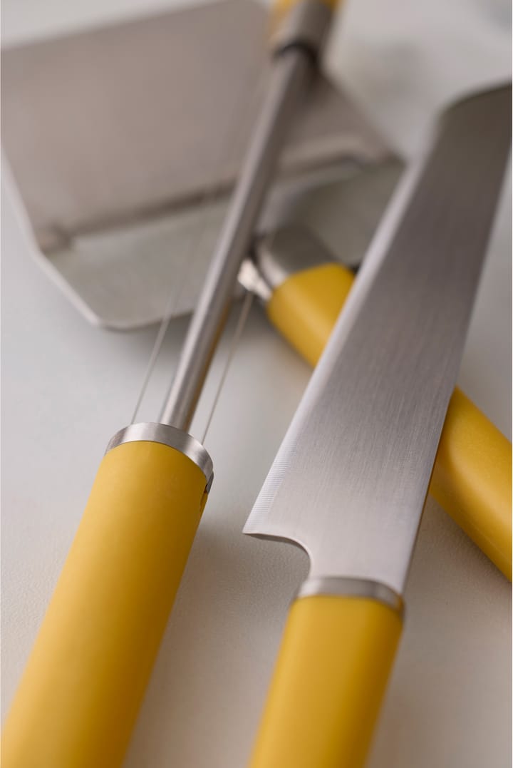 Taglierina per formaggio Emma 24 cm, Curry Rosti