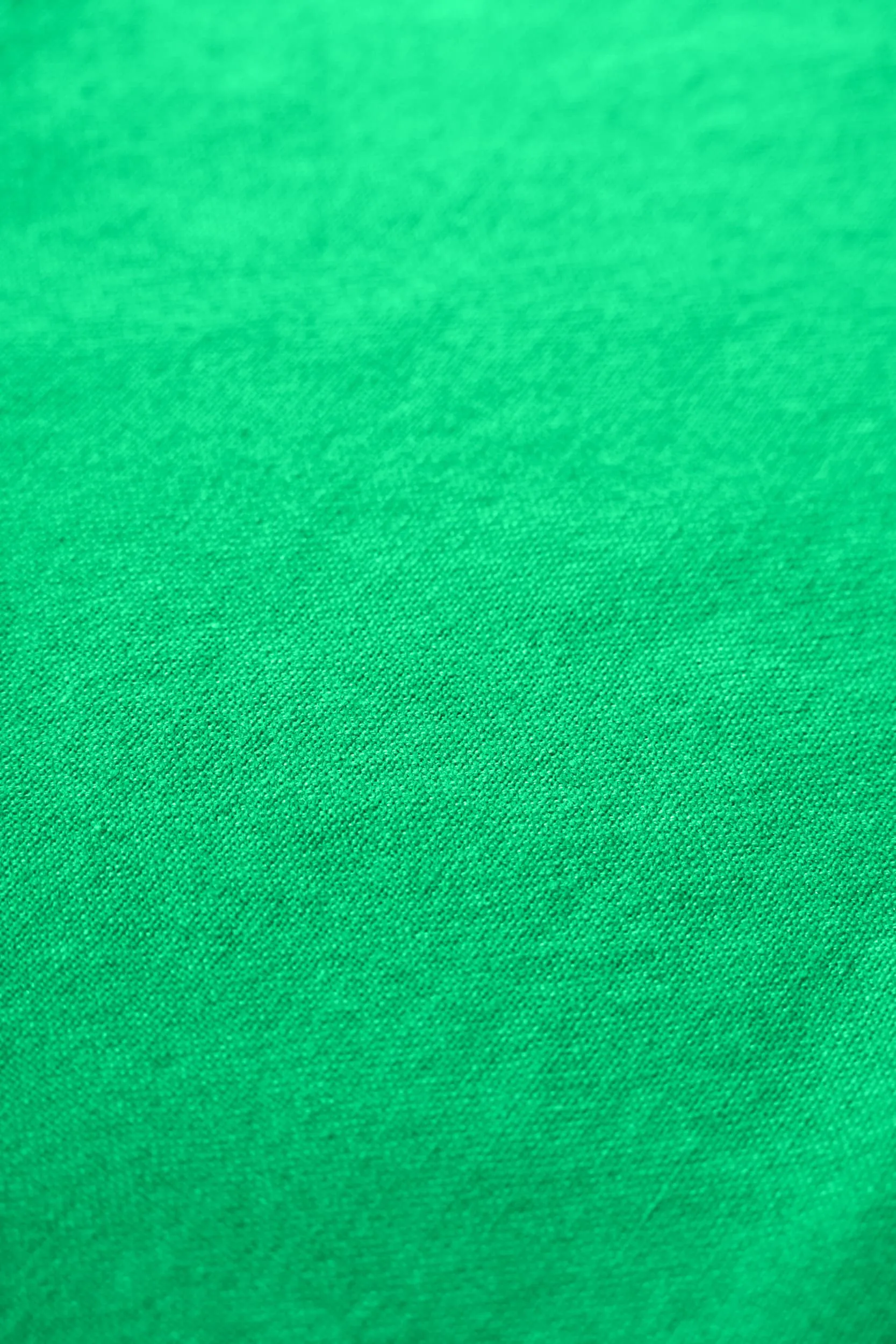 Strofinaccio Rug Solid 50x70 cm, Racing green Rug Solid