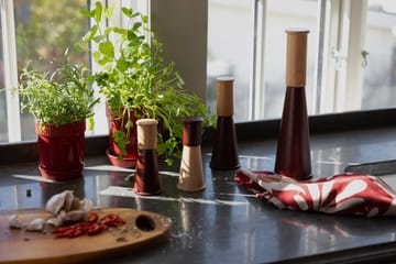 Strofinaccio da cucina Edith 50x70 cm 2 pezzi - Bordeaux - Sagaform