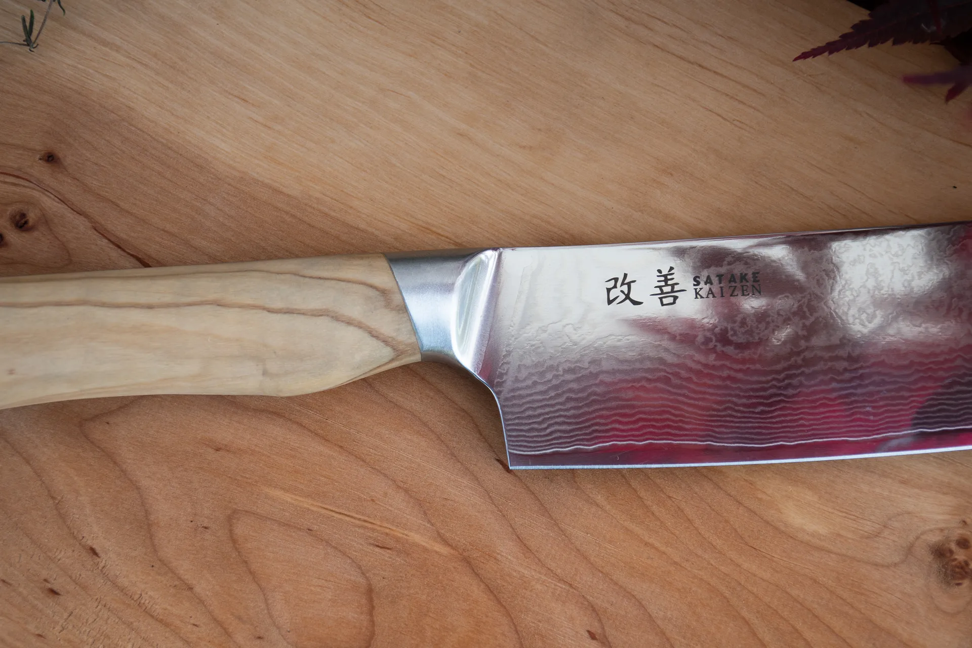 Coltello da chef Satake Kaizen Gyuto, 21 cm Satake