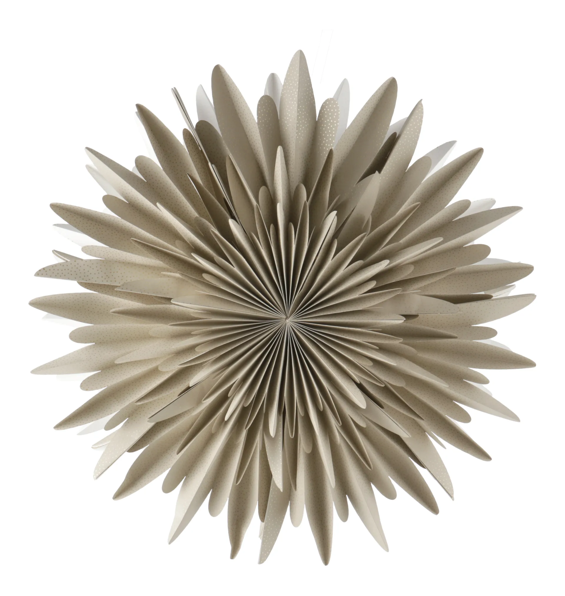 Stella dell'Avvento Luna beige con pois, 80 cm Scandi Living