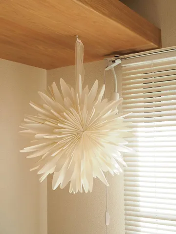 Stella dell'Avvento Luna bianco - 45 cm - Scandi Living