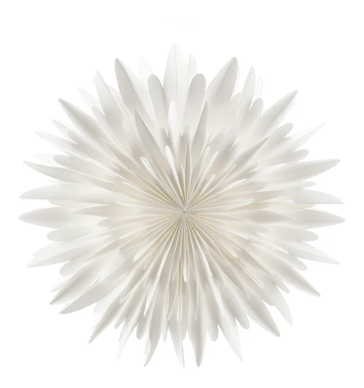 Stella dell'Avvento Luna bianco - 80 cm - Scandi Living