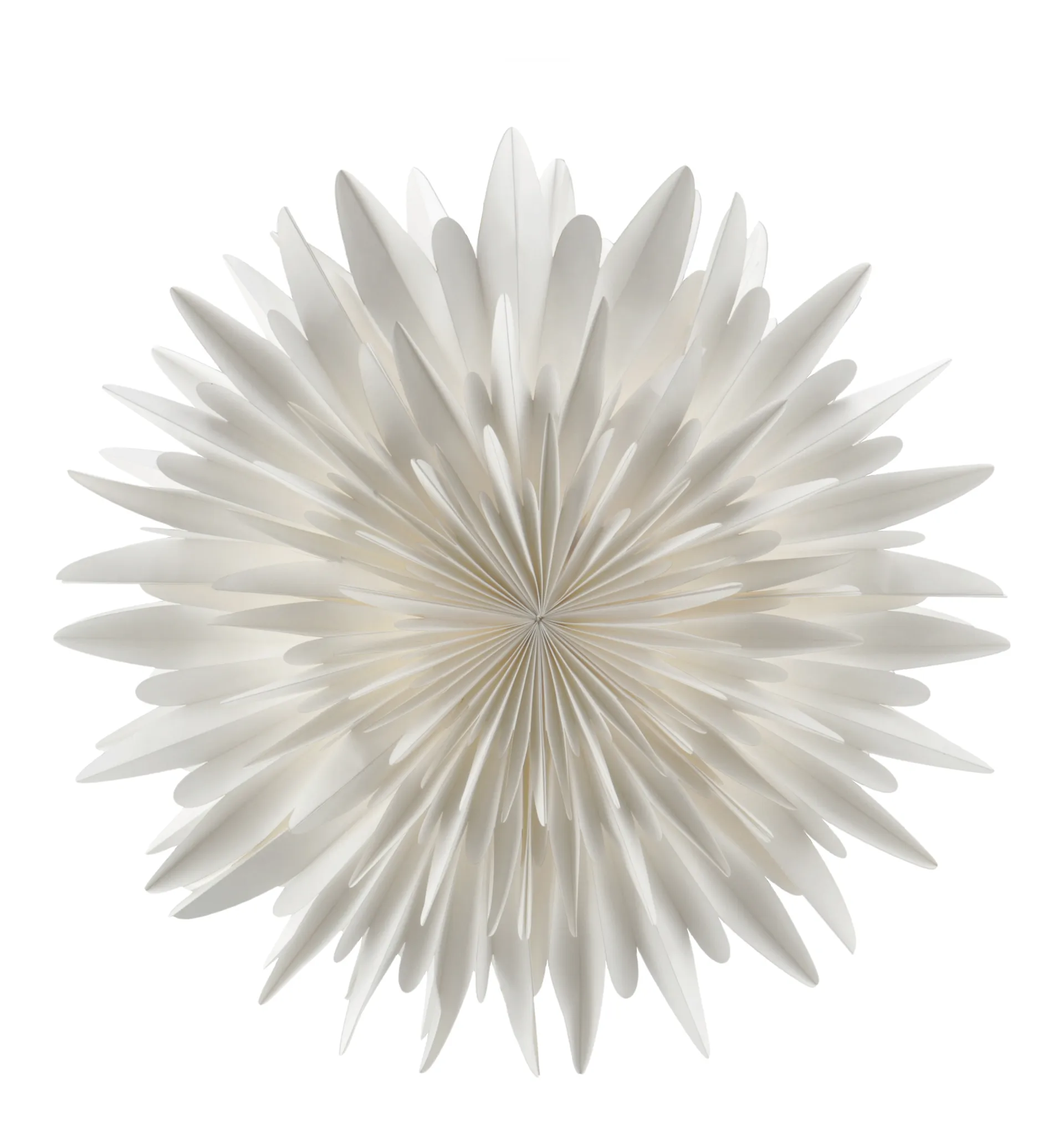 Stella dell'Avvento Luna bianco, 80 cm Scandi Living