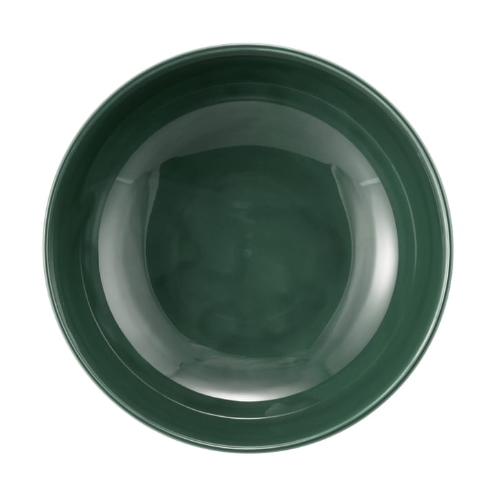 Ciotola Terra, Ø 17,7 cm, confezione da 2 - Verde muschio - Seltmann Weiden