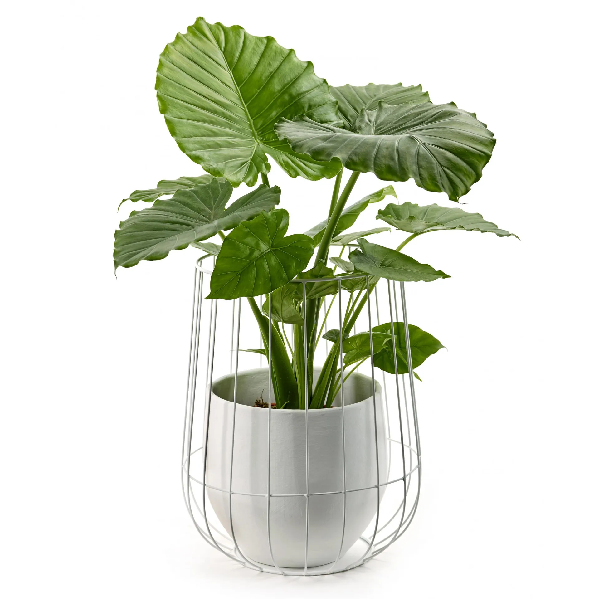 Vaso da fiori in cesto Serax 37x46 cm, bianco Serax