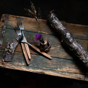 Forchetta Skaugum confezione da 6 Ecco teak - Skaugum of Norway