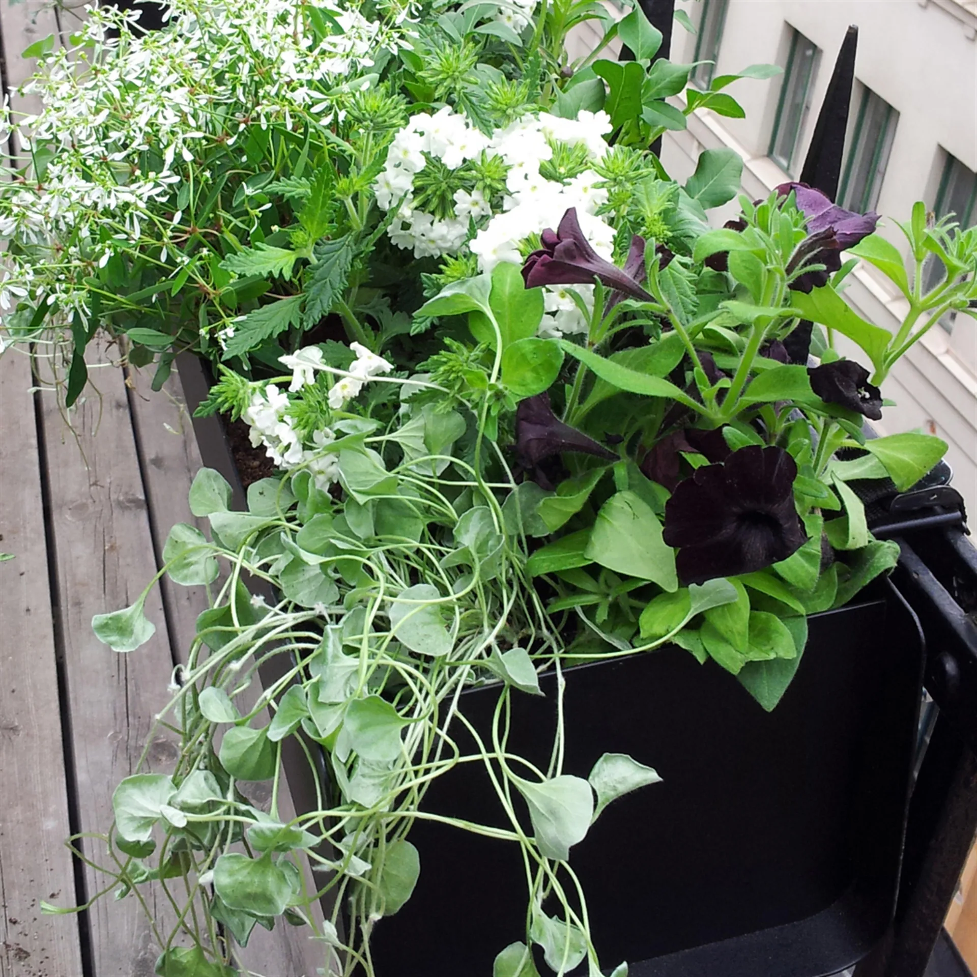 Cassetta da balcone Jorda, Nero 100 cm SMD Design