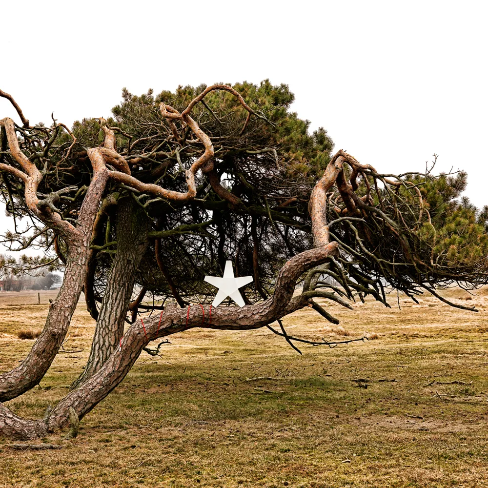 Stella dell'Avvento Stjärna, grigio, 40 cm, cavo tessile grigio chiaro SMD Design