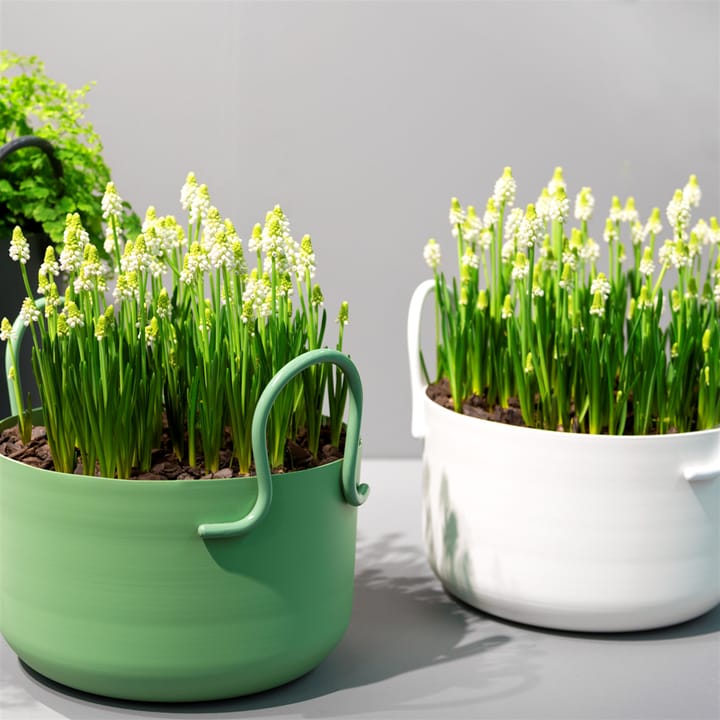 Vaso da fiori basso Tivoli Ø 30 cm - bianco - SMD Design