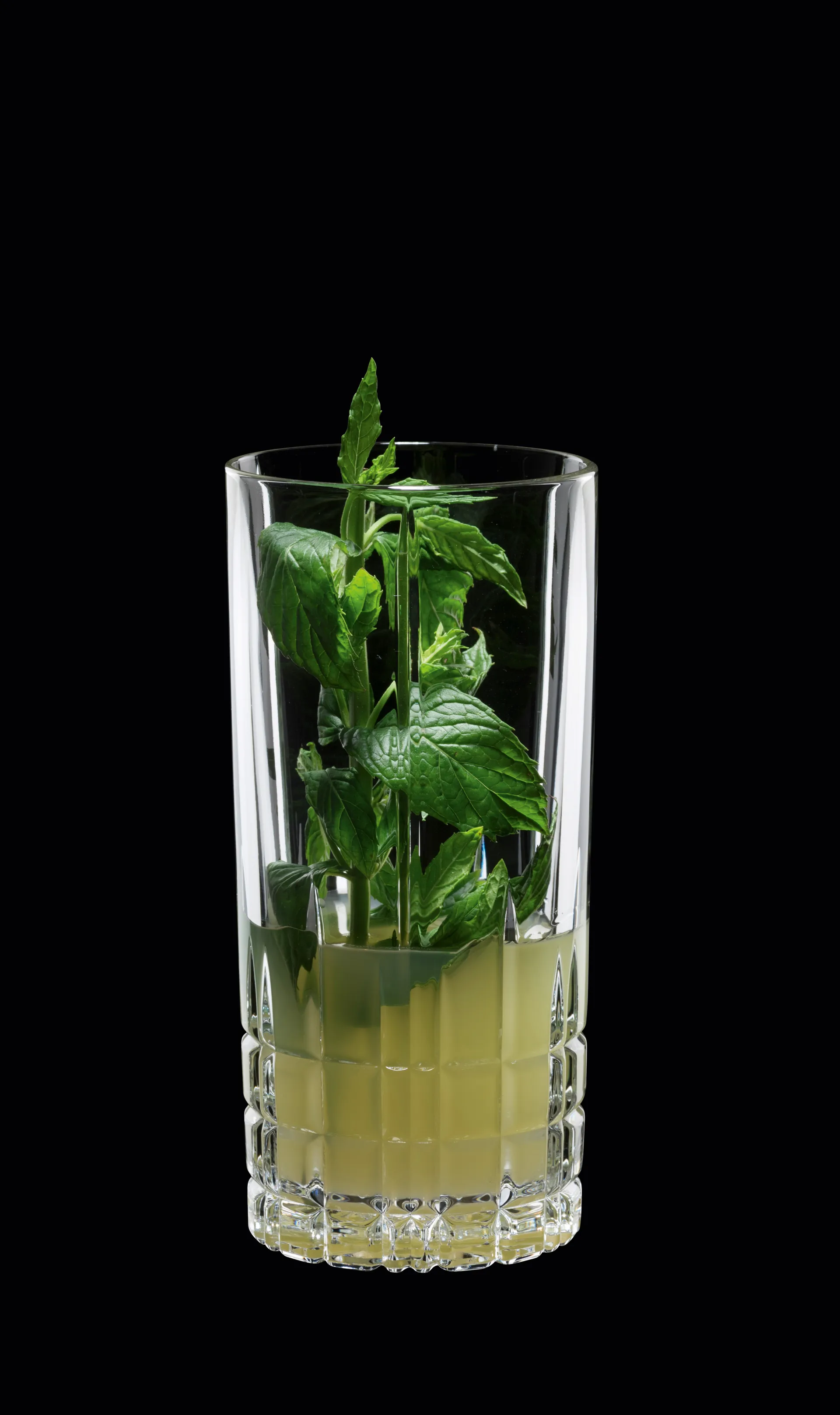 Bicchiere da long drink Perfect Serve 35 cl confezione da 4, trasparente Spiegelau