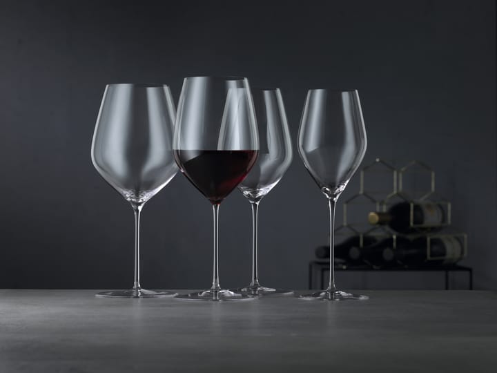 Bicchiere da vino HI-LITE Burgundy 70 cl confezione da 2, Trasparente Spiegelau