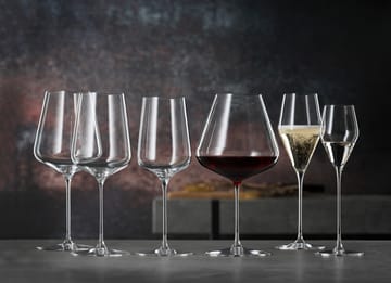 Bicchiere da vino rosso Borgogna Definition 96 cl confezione da 2 - Trasparente - Spiegelau