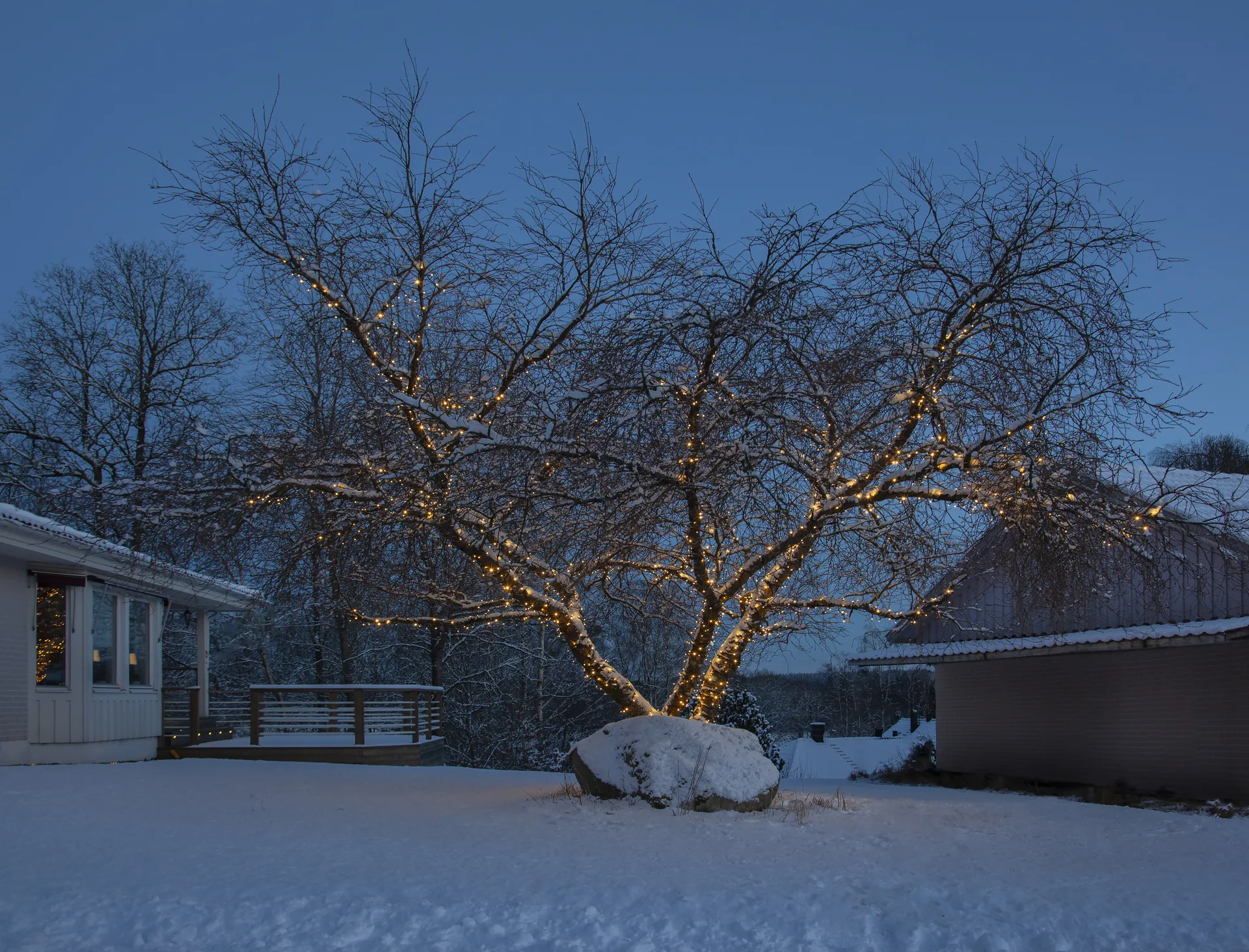 Cavo di avviamento LED Star Trading system, 180 cm Star Trading