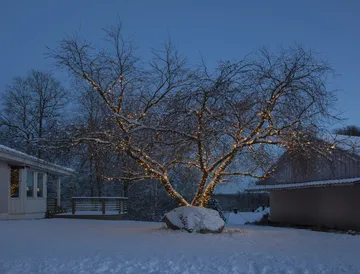 Cavo di avviamento LED Star Trading system - 180 cm - Star Trading