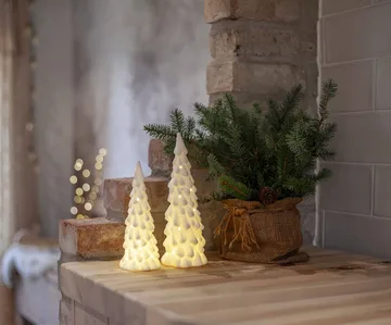 decorazione invernale per interni - abete bianco, 2 pezzi - Star Trading