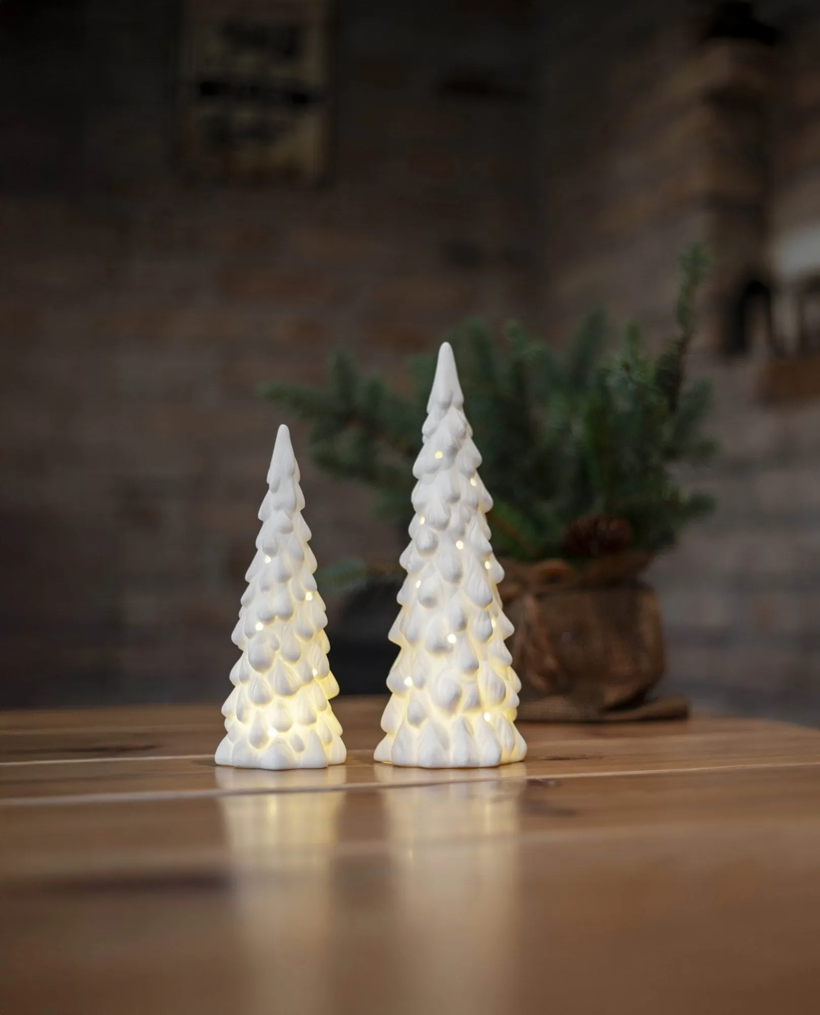 decorazione invernale per interni, abete bianco, 2 pezzi Star Trading