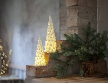 decorazione invernale per interni - abete bianco, 2 pezzi - Star Trading
