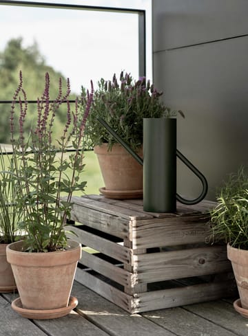 Brocca per acqua Bloom 2 litri - Pine - Stelton