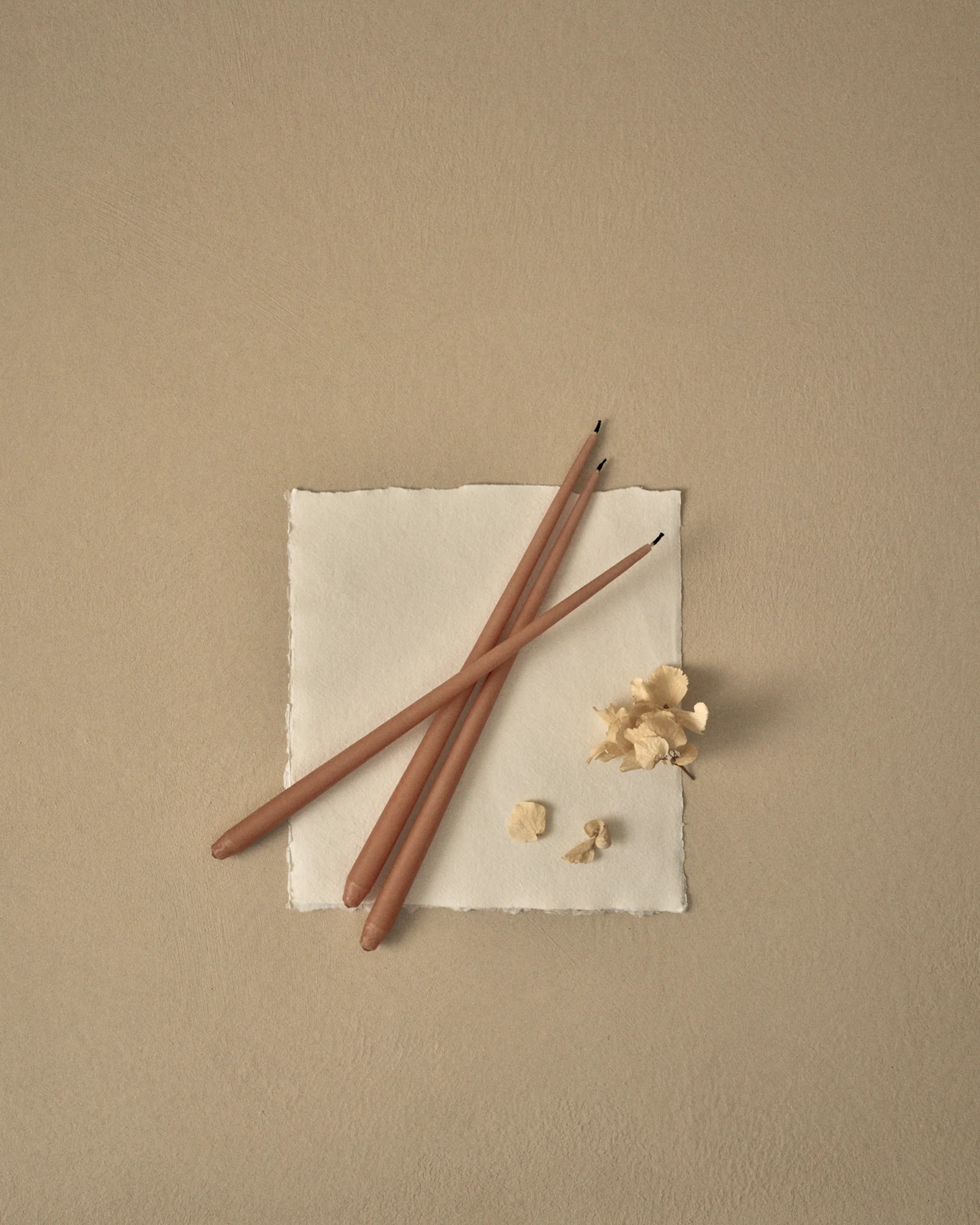 Candela STOFF Nagel by ester & erik, confezione da 6, dusty rose STOFF Nagel