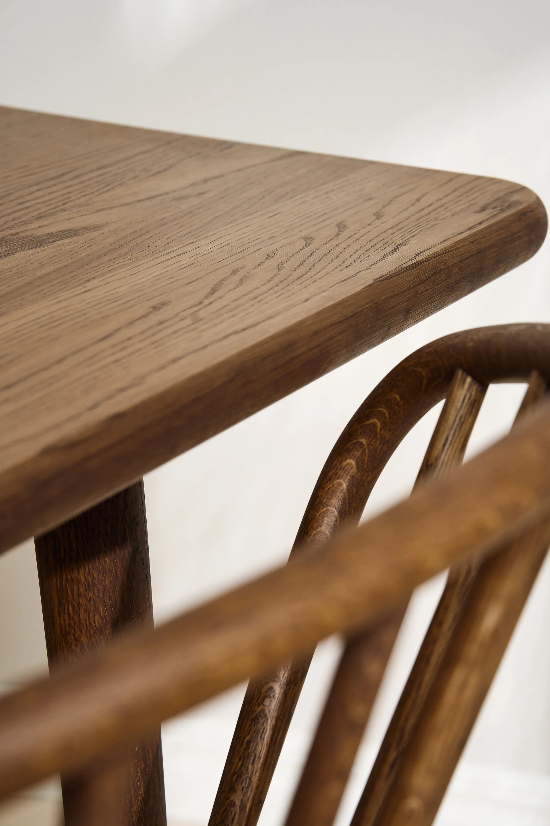 Sedia Miss Holly Special Edition, Rovere Chocolat olio Stolab