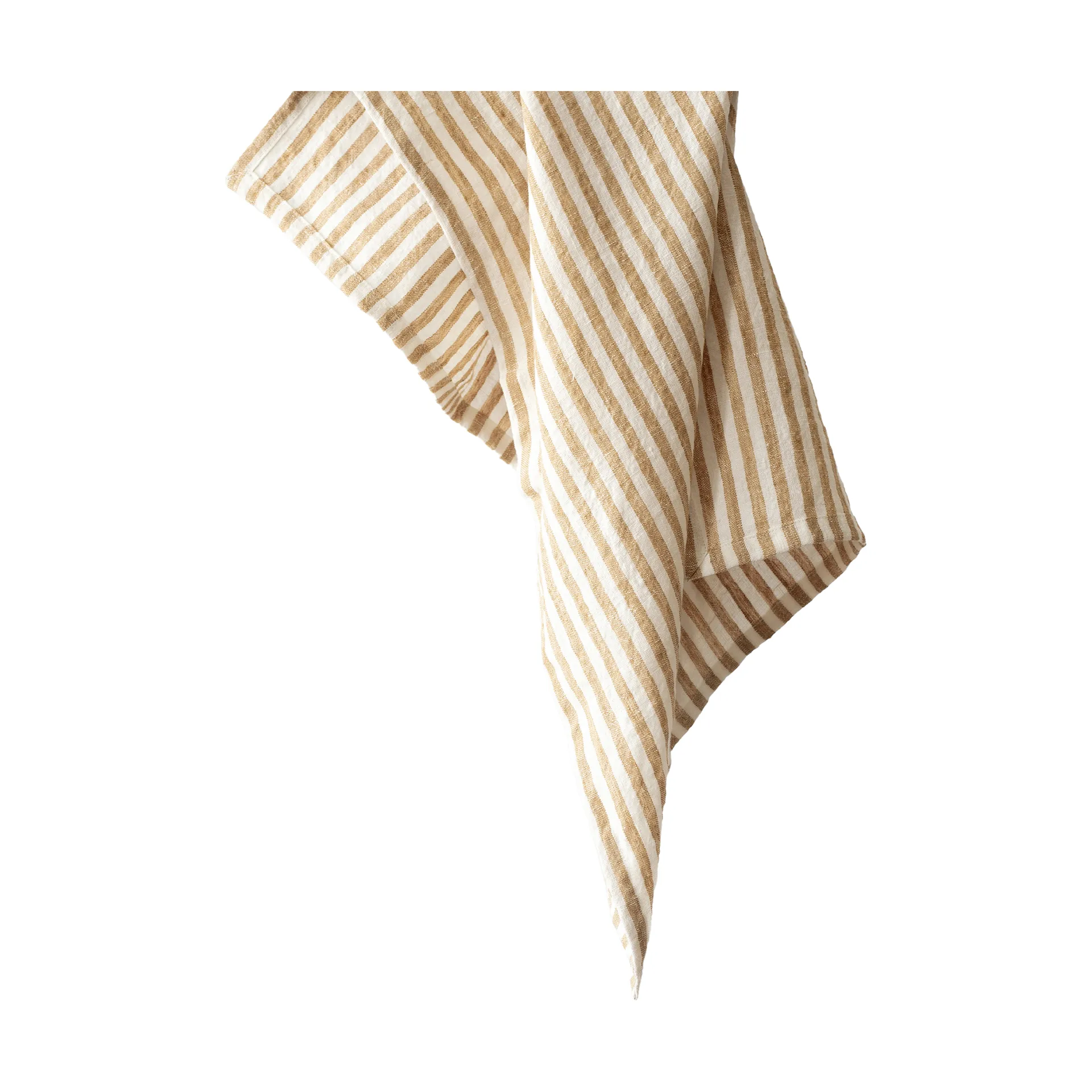 Strofinaccio Leon 50x70 cm, Spice Tell Me More