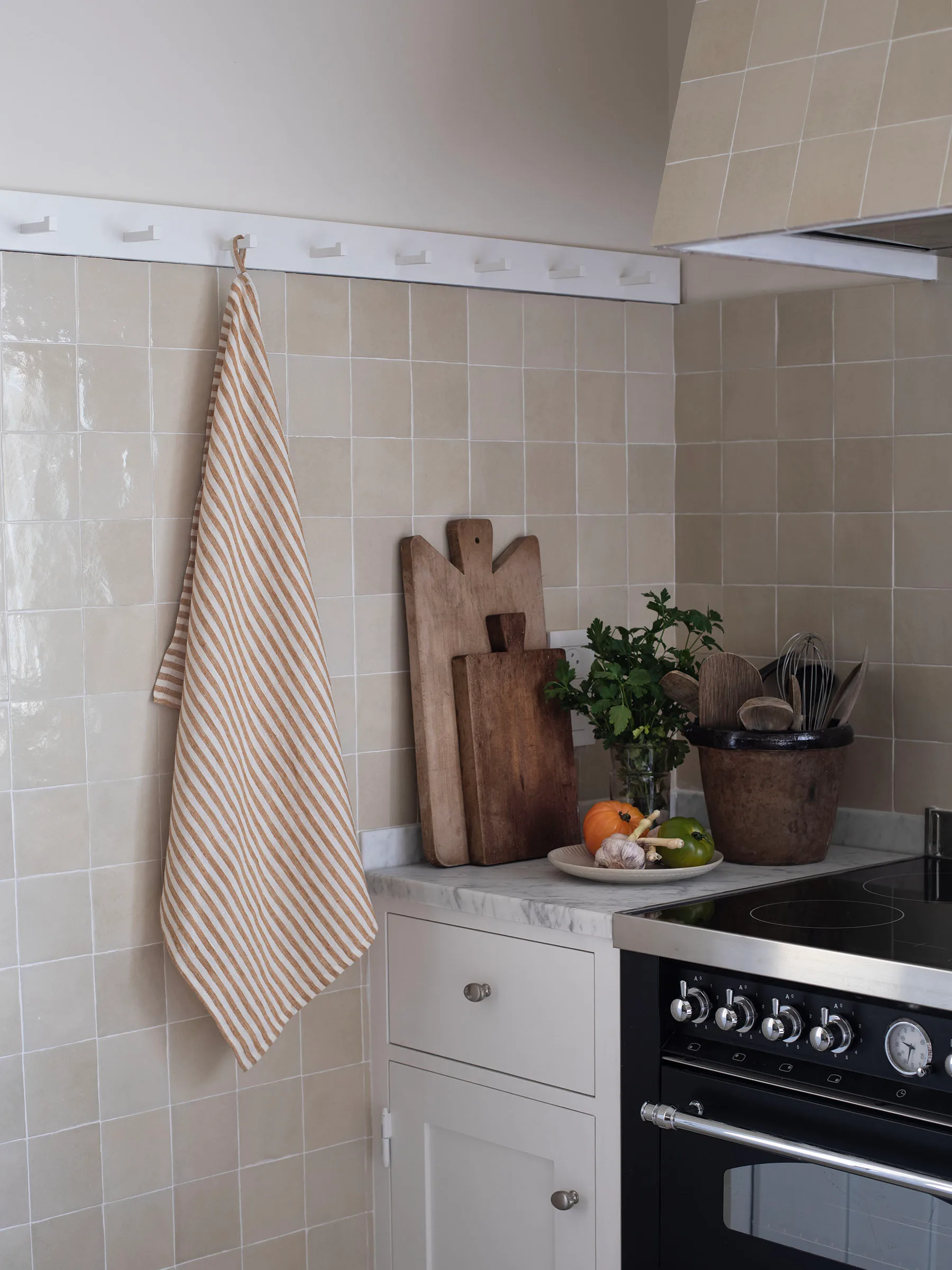 Strofinaccio Leon 50x70 cm, Spice Tell Me More