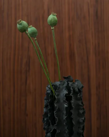 Melera vaso - Black, 33x16 cm - Tinted