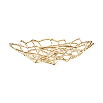 Ciotola Bone - Ottone, L - Tom Dixon