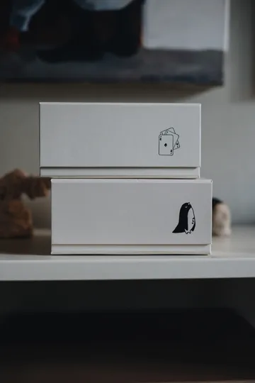 Pac box scatola portaoggetti - TÔNN x MAJASBOK Off-white, confezione da 2 - TÔNN furniture