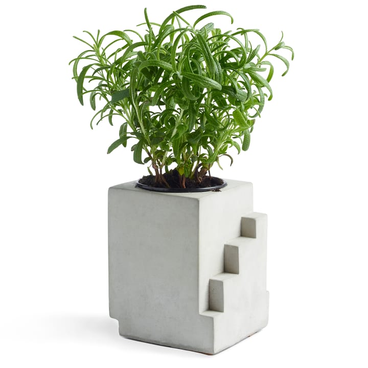 Vaso da fiori in cemento Max 1, grigio Tove Adman