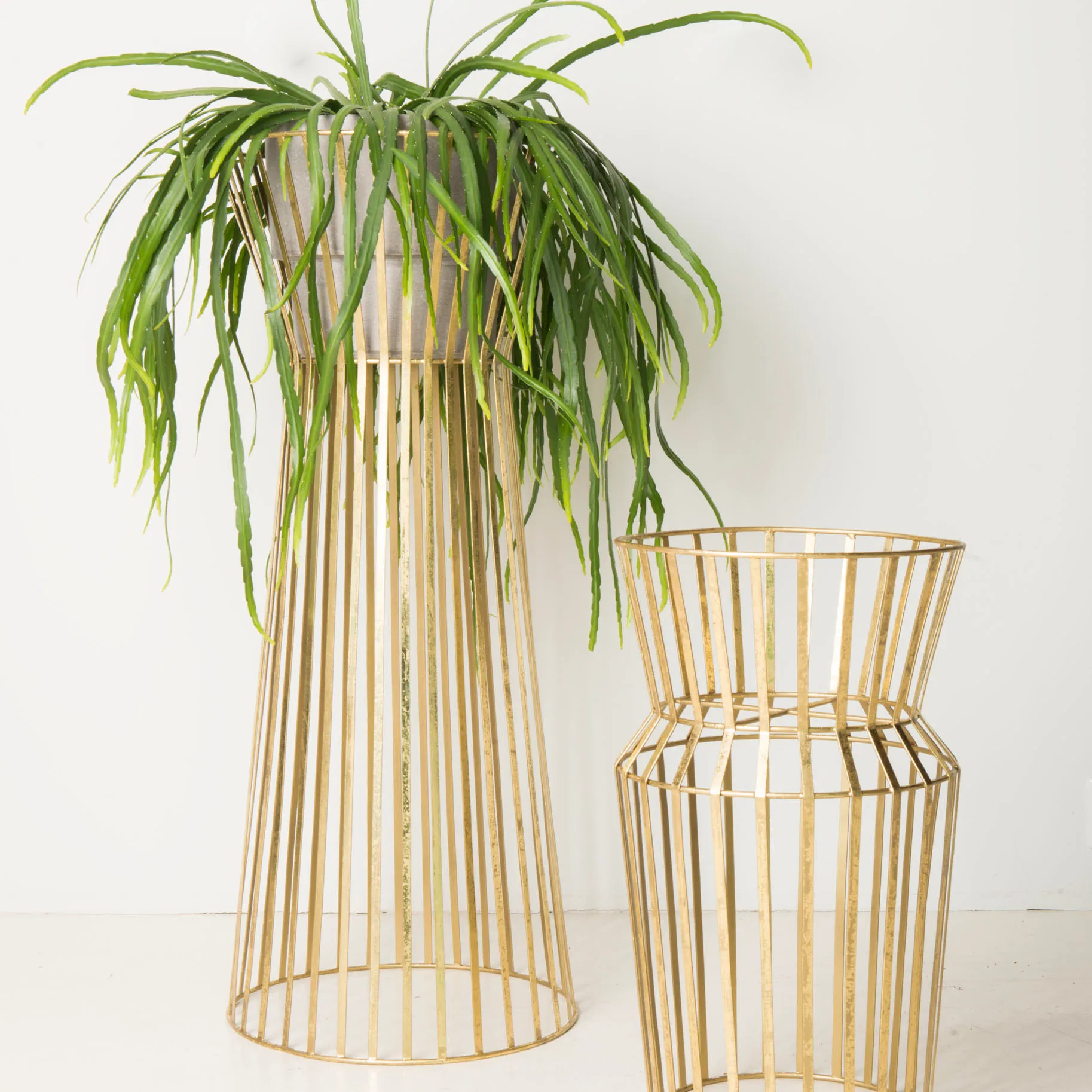 Presina grande, Ottone URBAN NATURE CULTURE