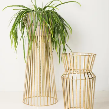 Presina grande - Ottone - URBAN NATURE CULTURE