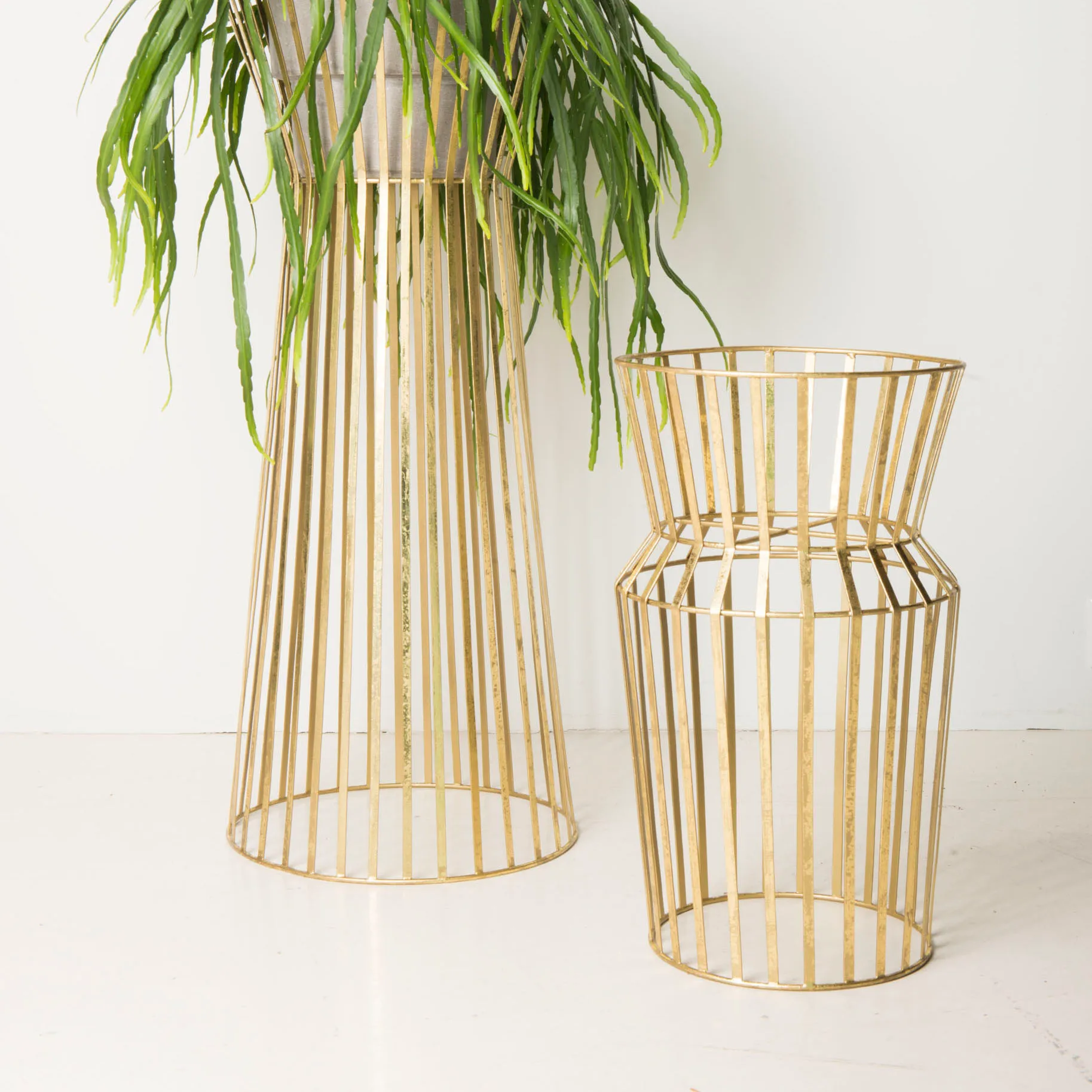 Presina piccola, Ottone URBAN NATURE CULTURE