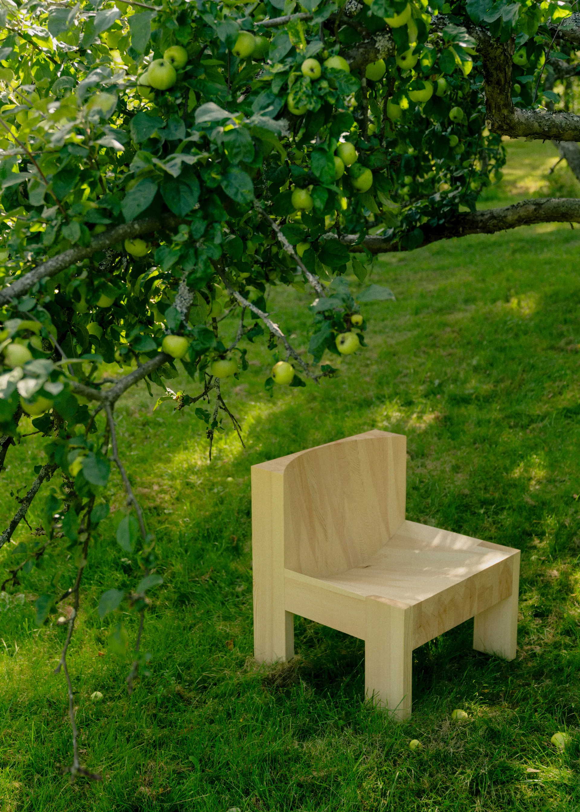 005 Lounge Chair poltrona lounge, Pino oliato cerato opaco Vaarnii