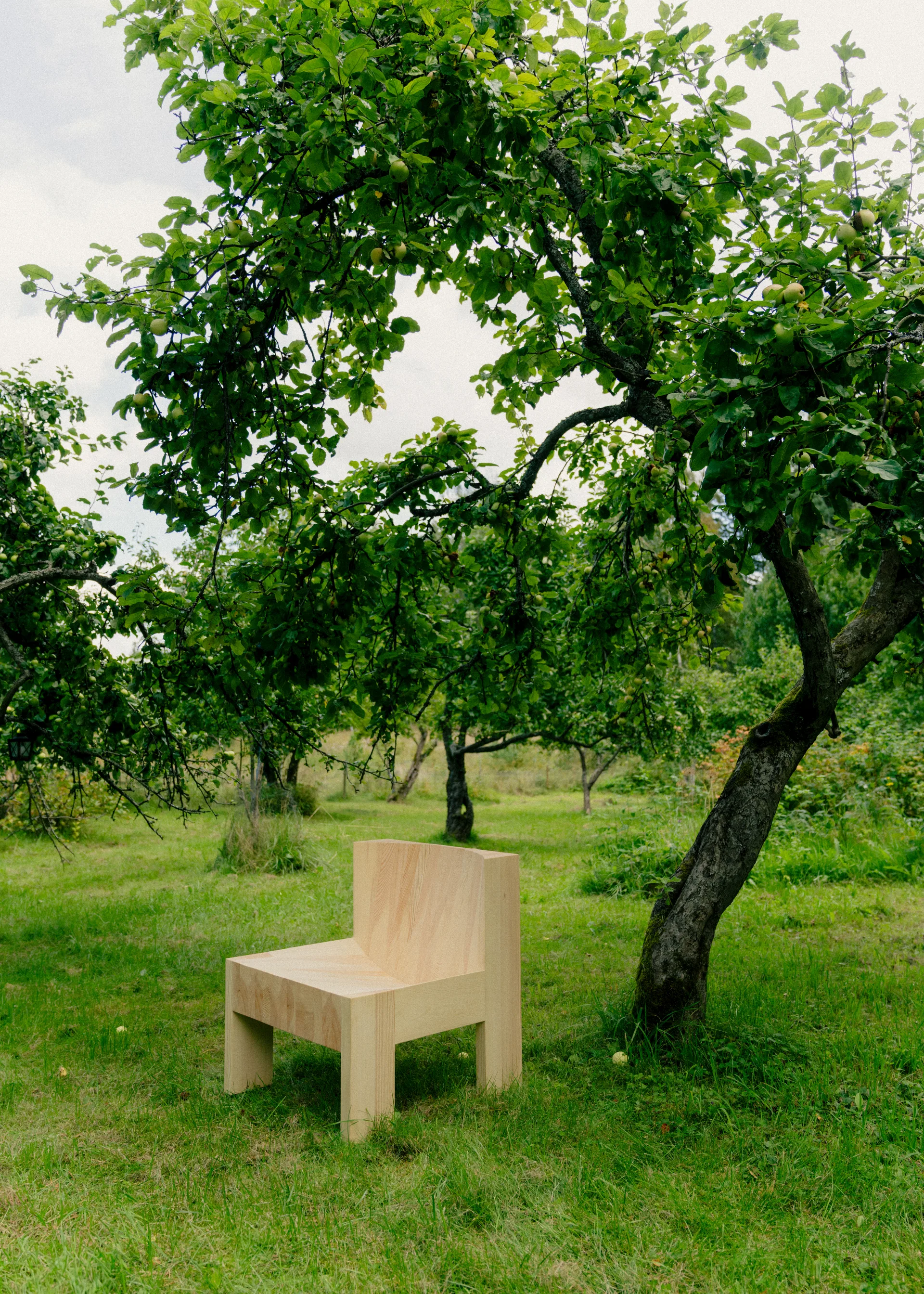 005 Lounge Chair poltrona lounge, Pino oliato cerato opaco Vaarnii