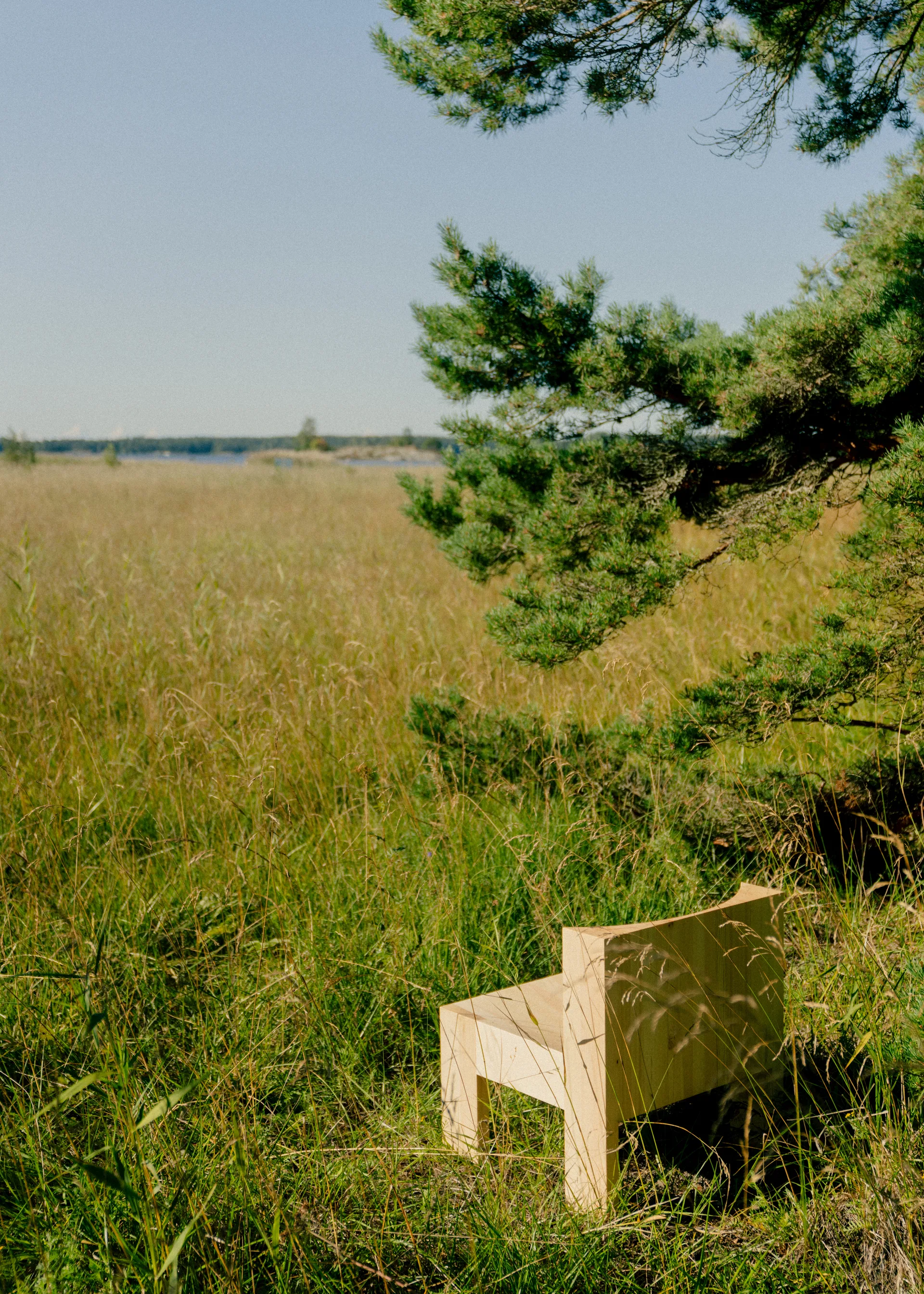 005 Lounge Chair poltrona lounge, Pino oliato cerato opaco Vaarnii