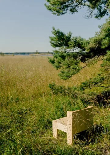 005 Lounge Chair poltrona lounge - Pino oliato cerato opaco - Vaarnii