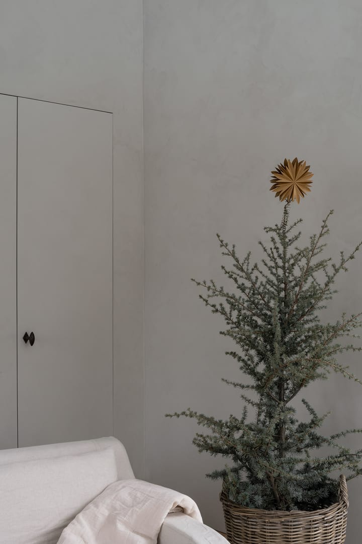 Puntale per albero stella Ø 20 cm, Oro Watt & Veke