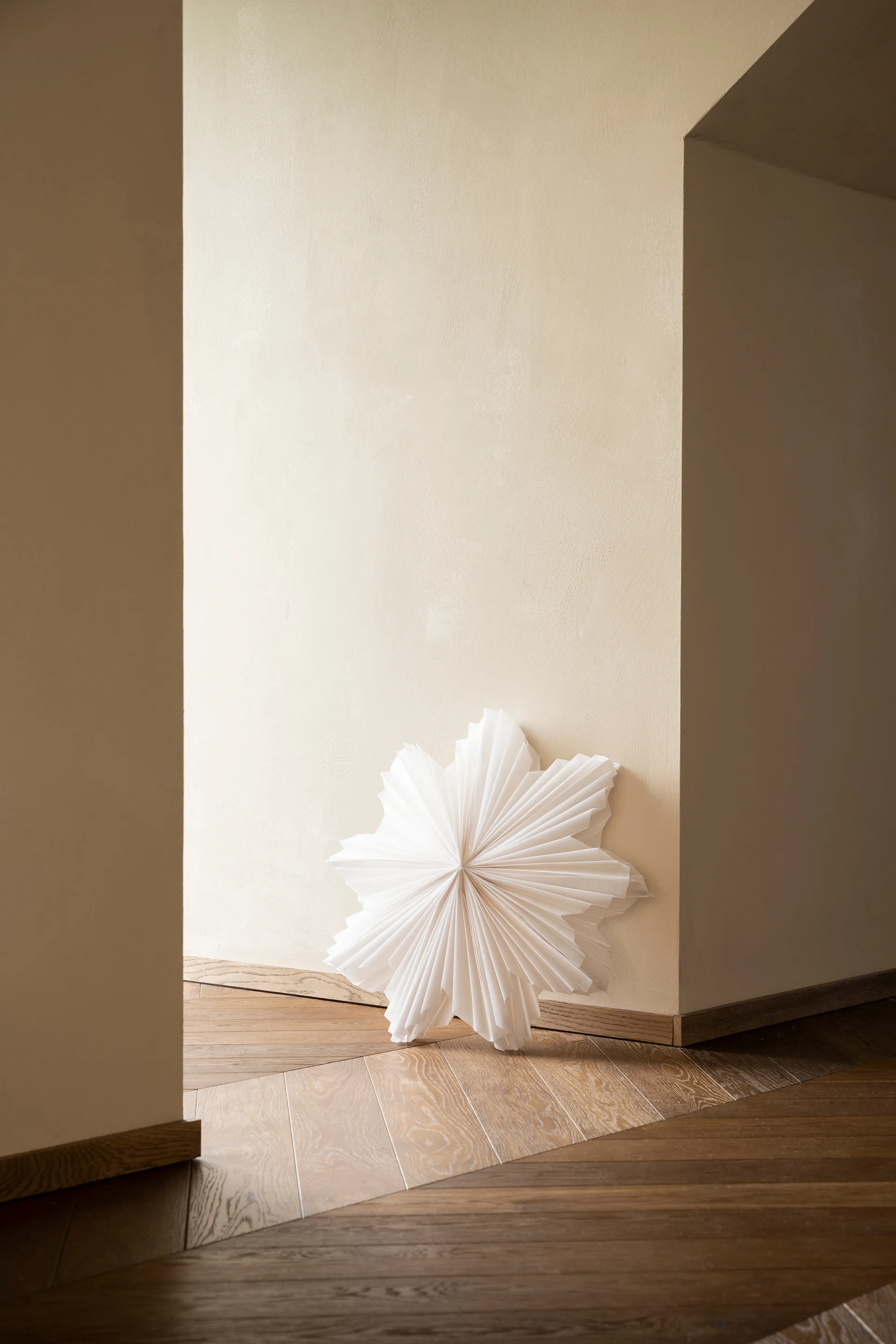 Stella dell'Avvento Daisy Ø 60 cm, Bianco Watt & Veke