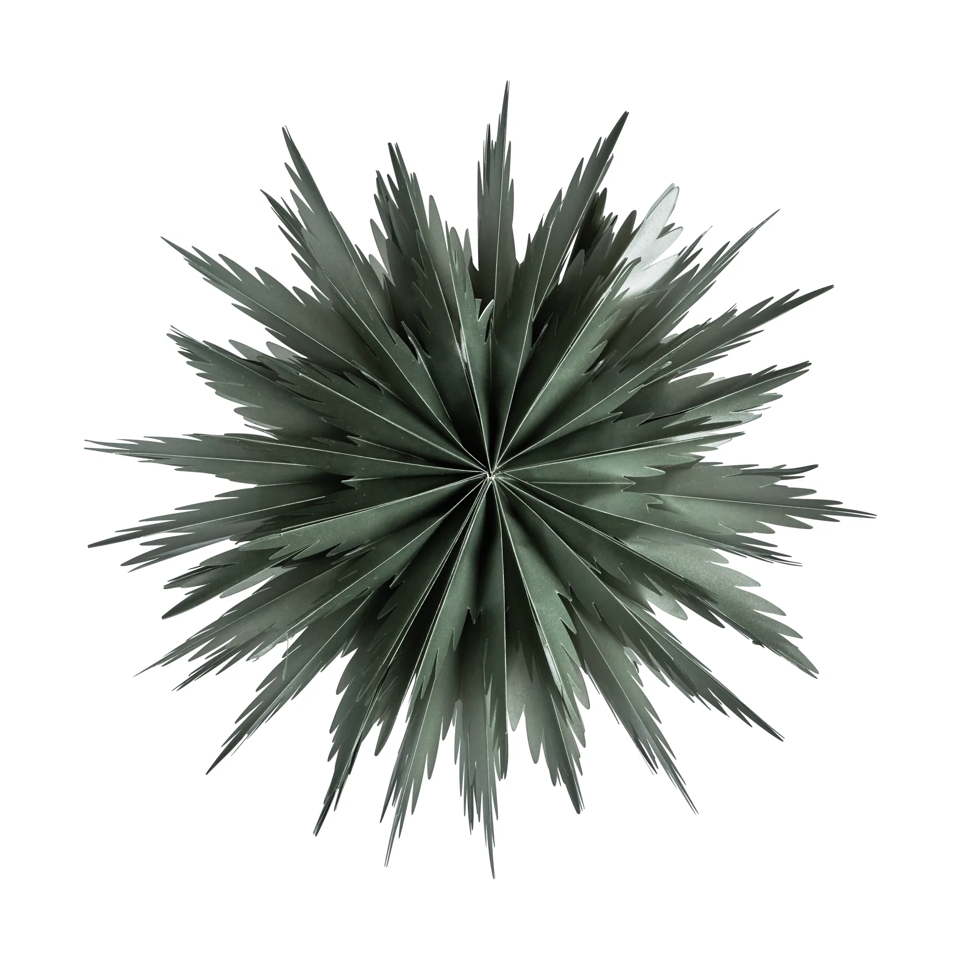 Stella dell'Avvento Liz Ø50 cm, Verde Watt & Veke