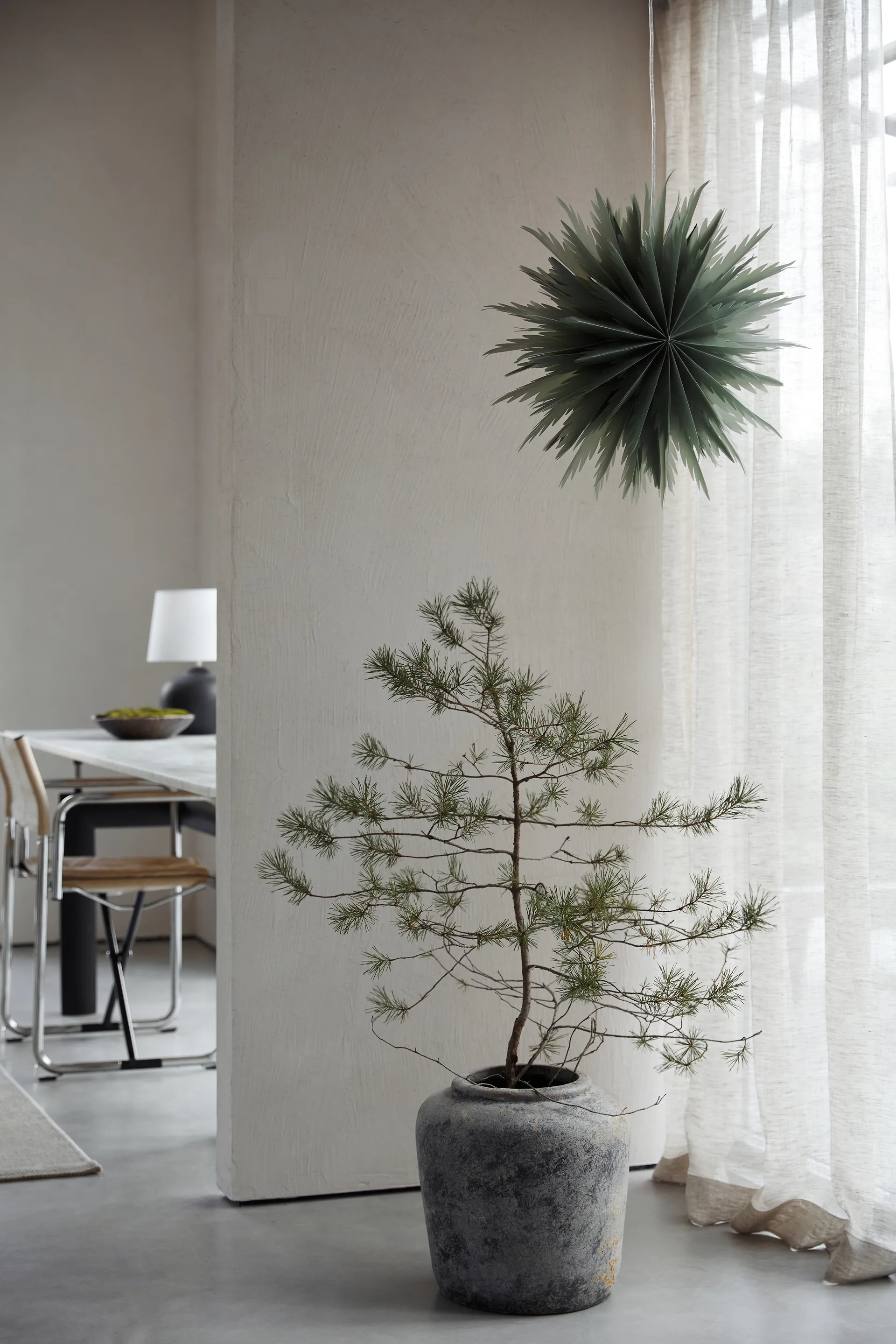 Stella dell'Avvento Liz Ø50 cm, Verde Watt & Veke