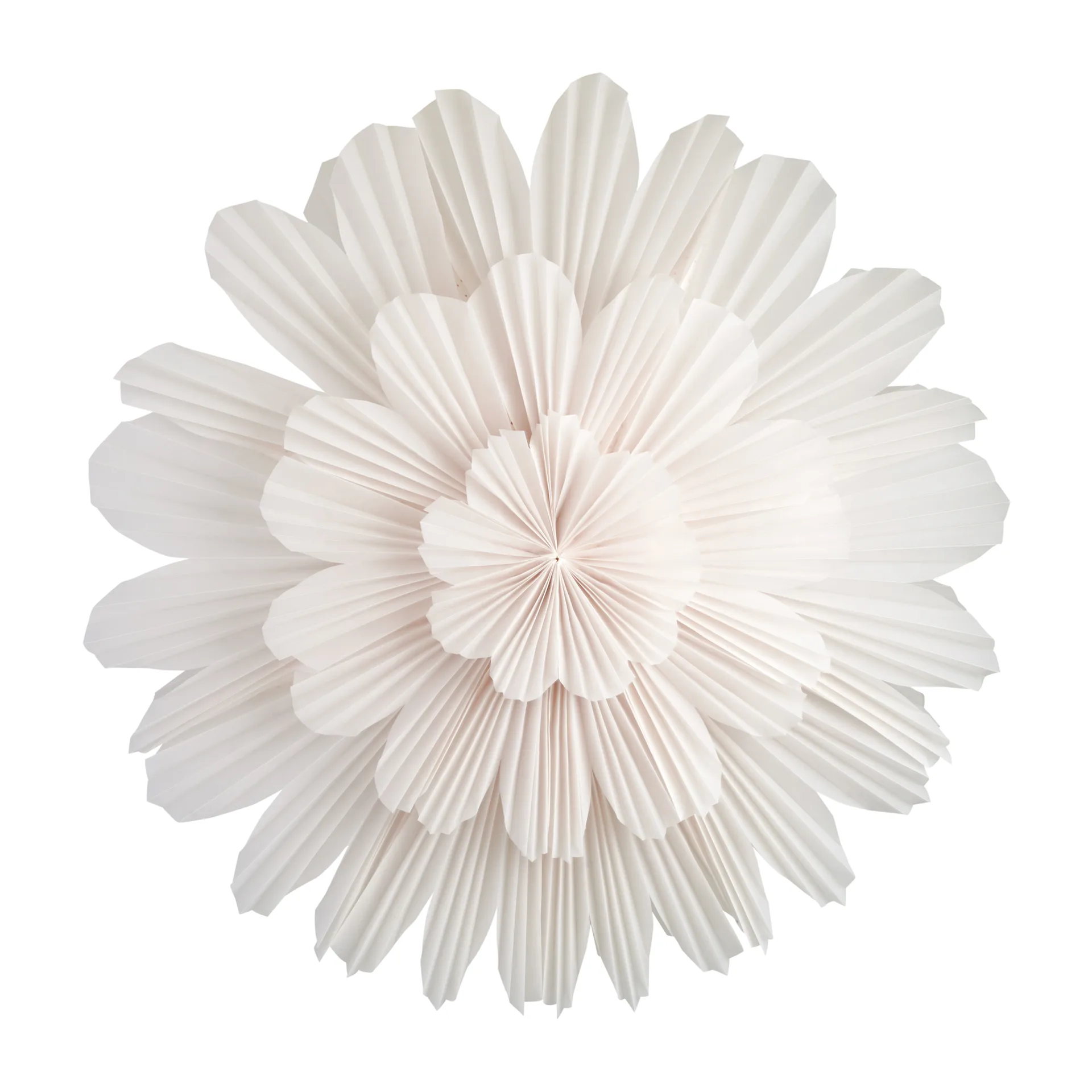 Stella dell'Avvento Snöblomma, 100 cm Watt & Veke