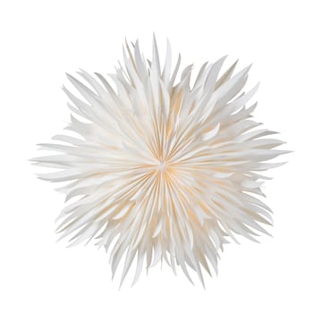Stella di Natale Eldig Ø70 cm - Bianco - Watt & Veke